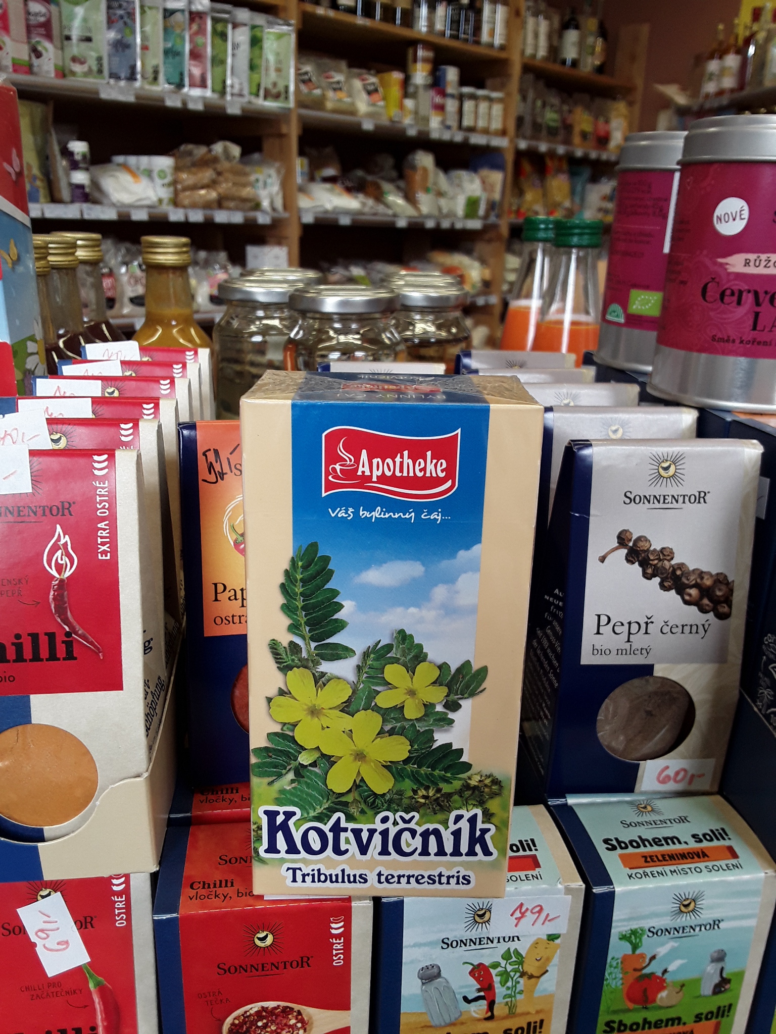 Kotvičník
