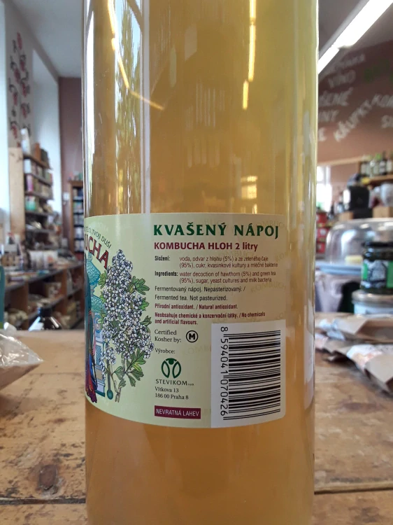 Kvašený nápoj kombucha hloh