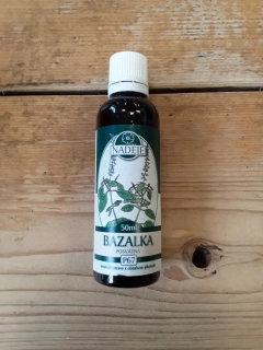 Bazalka posvátná