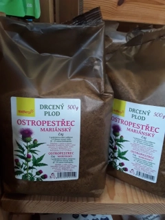Ostropestřec mariánský čaj
